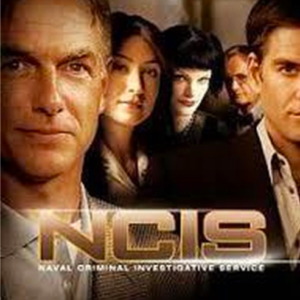 N.C.I.S. seizoen 1