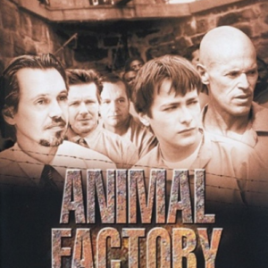 Animal factory (ingesealed)
