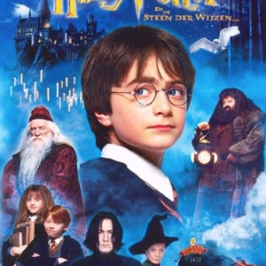 Harry Potter en de steen der wijzen