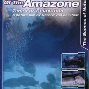 Wonderfish of the Amazone