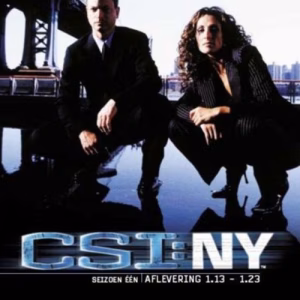 CSI: NY seizoen 1, aflevering 1.13-1.23