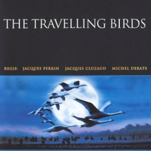 The travelling birds