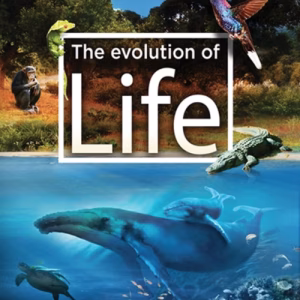 The evolution of life