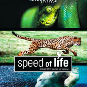 Discovery channel: Speed of life (blu-ray)