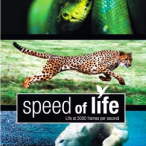 Speed of life (ingesealed)