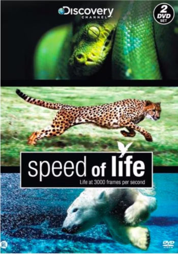 Speed of life (ingesealed)