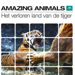 Amazing animals: Het verloren land van de tijger