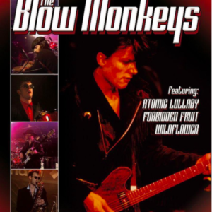 The Blow Monkeys: live from London