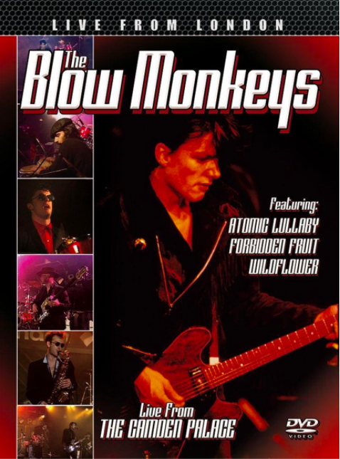 blow monkeys uk tour