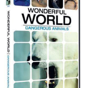 Wonderful world: Dangerous animals