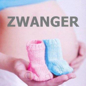 Zwanger (ingesealed)