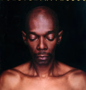 Forever Faithless - The greatest hits