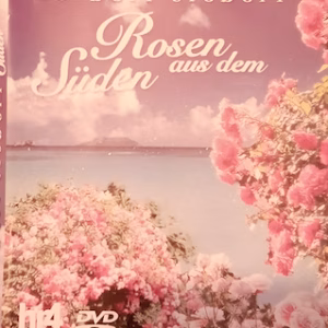 Rosen aus dem Süden