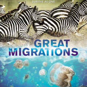 Great Migrations (ingesealed)