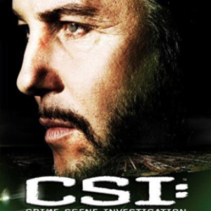 CSI seizoen 8 aflevering 1-8 (ingesealed)