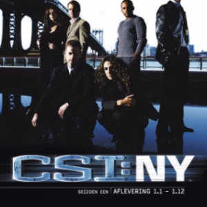 CSI: NY seizoen 1 aflevering 13-23