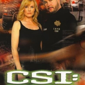 CSI seizoen 6, aflevering 13-24