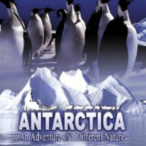 Antarctica (ingesealed)