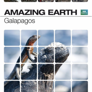 Amazing earth: Galapagos