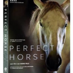 Perfect Horse (ingesealed)