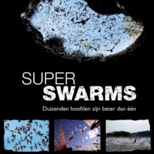 Super Swarms