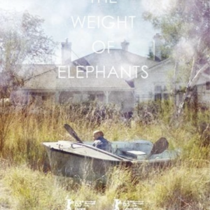The weight of elephants