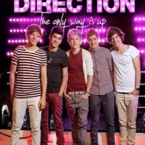 One Direction: The Only Way Is Up (ingesealed)