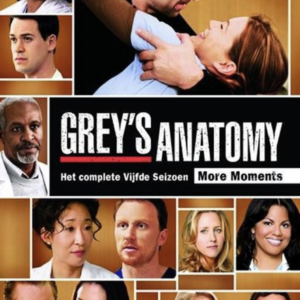 Grey's anatomy (seizoen 5)
