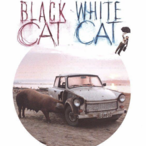 Black cat, white cat