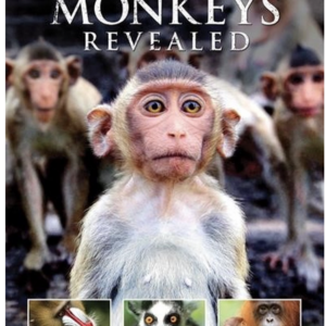 Monkeys revealed
