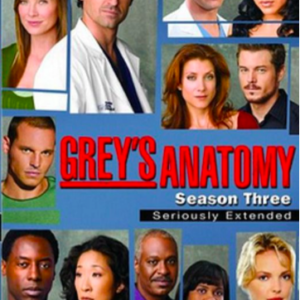 Grey's Anatomy (seizoen 3)