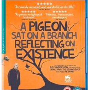 A pigeon sat on a branch reflecting existence (blu-ray)