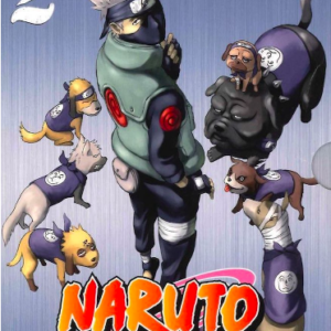 Naruto Shippuden (seizoen 2)