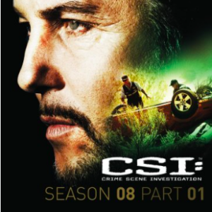 CSI seizoen 8 aflevering 1-8
