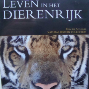 Leven in het dierenrijk: De tijger