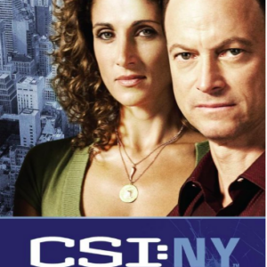 CSI: NY (seizoen 1)