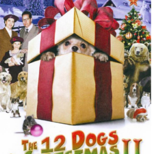 The 12 dogs of Christmas II