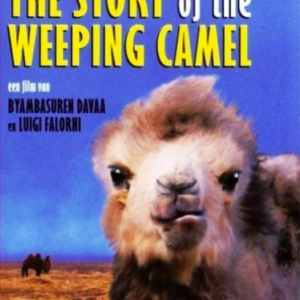 The story of weeping camel