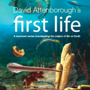BBC Earth: First life
