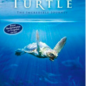 Turtle: the incredible journey
