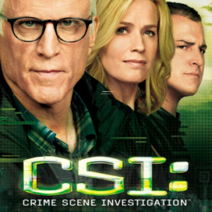 CSI (seizoen 14, deel 2) (ingesealed)