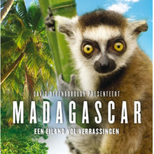 Madagascar: Een eiland vol verrassingen