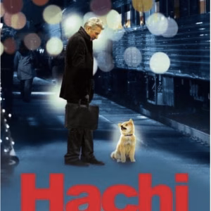 Hachi (steelbook)