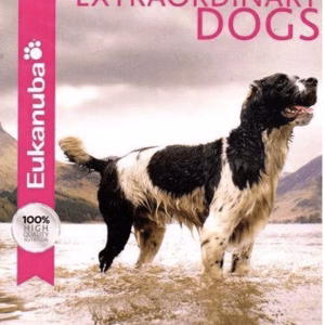 Extraordinairy dogs (ingesealed)