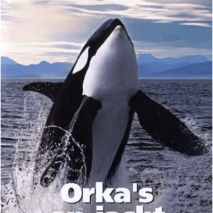 Orka's op jacht