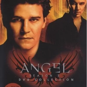 Angel (seizoen 5)